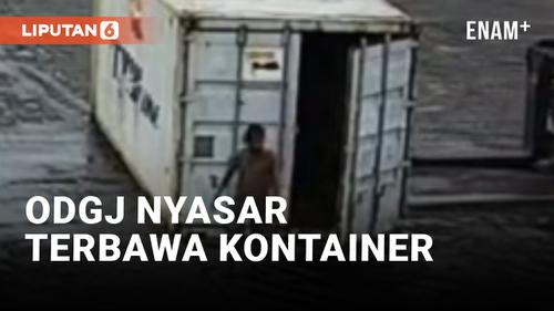 VIDEO: ODGJ Terbawa Kontainer dari Maluku ke Surabaya