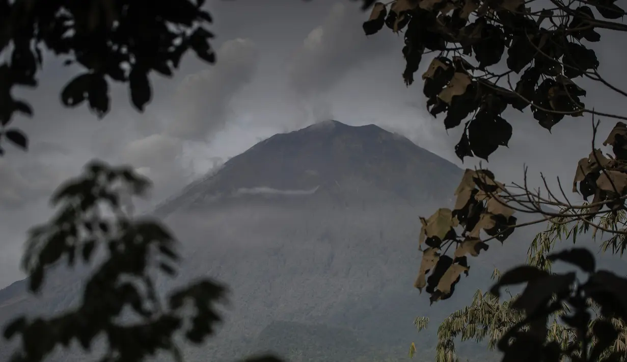 Gunung Semeru tampak tenang setelah erupsi sehari sebelumnya di Lumajang, Jawa Timur pada Minggu (17/1/2021). Gunung Semeru kembali erupsi dan mengeluarkan awan panas guguran sejauh 4,5 kilometer pada Sabtu (16/1). (Juni Kriswanto / AFP)
