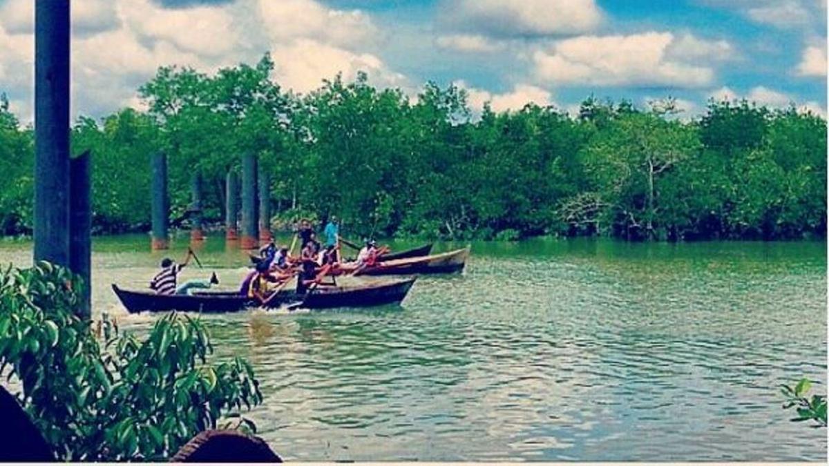 Tengok Sumber Daya Alam Kabupaten Meranti, Wilayah yang Bupatinya Sebut Kemenkeu Iblis dan Setan