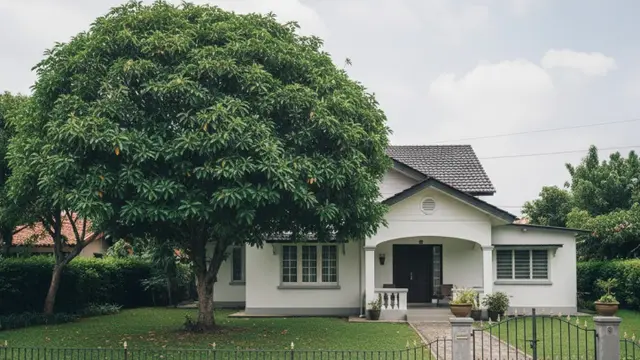 kara payung