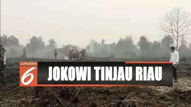 Tinjau pemadaman karhutla di Riau, Presiden Jokowi tegaskan semua pihak harus cegah kebakaran.
