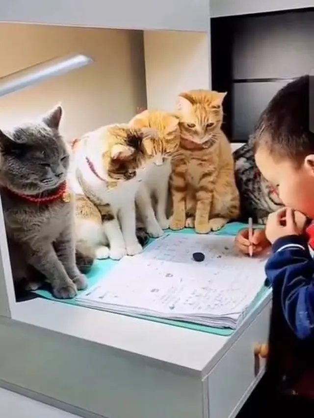6 Potret Nyeleneh Anak Belajar Bareng Kucing Ini Bikin Geleng Kepala