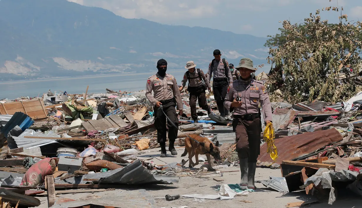Unit K9 dibantu anjing pelacak mencari korban di antara puing bangunan usai gempa dan tsunami menerjang Palu, Sulawesi Tengah, Rabu (3/10). Anjing K9 mencari tubuh korban dengan mengandalkan penciumannya yang tajam. (AP Photo/Tatan Syuflana)