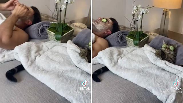 Viral, Aksi Kucing Sedang Spa Bersama Pemiliknya Ini Bikin Gemas