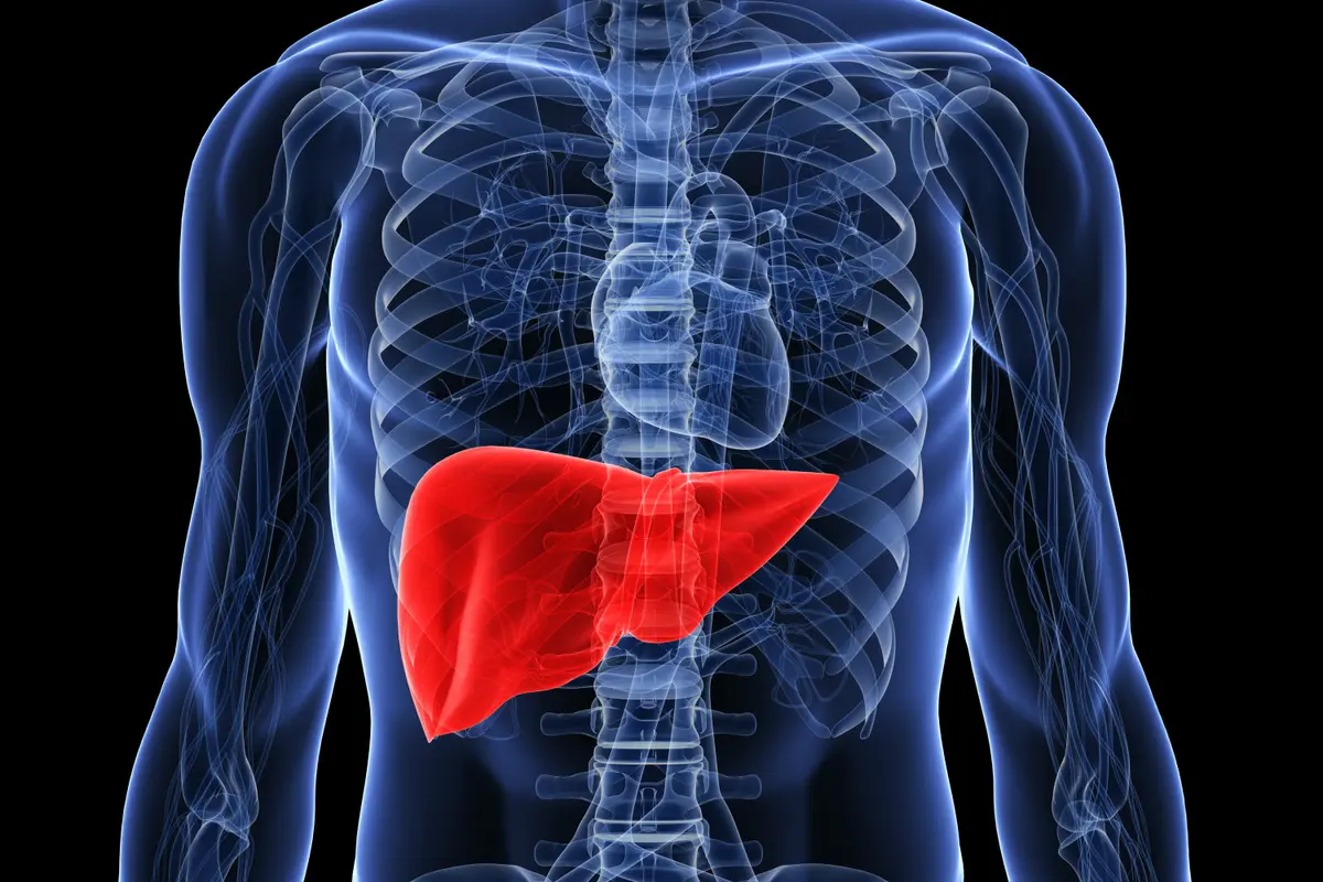 10 Makanan yang Bisa Membersihkan Liver Kamu