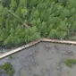 Jalur cinta di hutan mangrove itu dibangun menggunakan dana desa. (dok. istimewa)