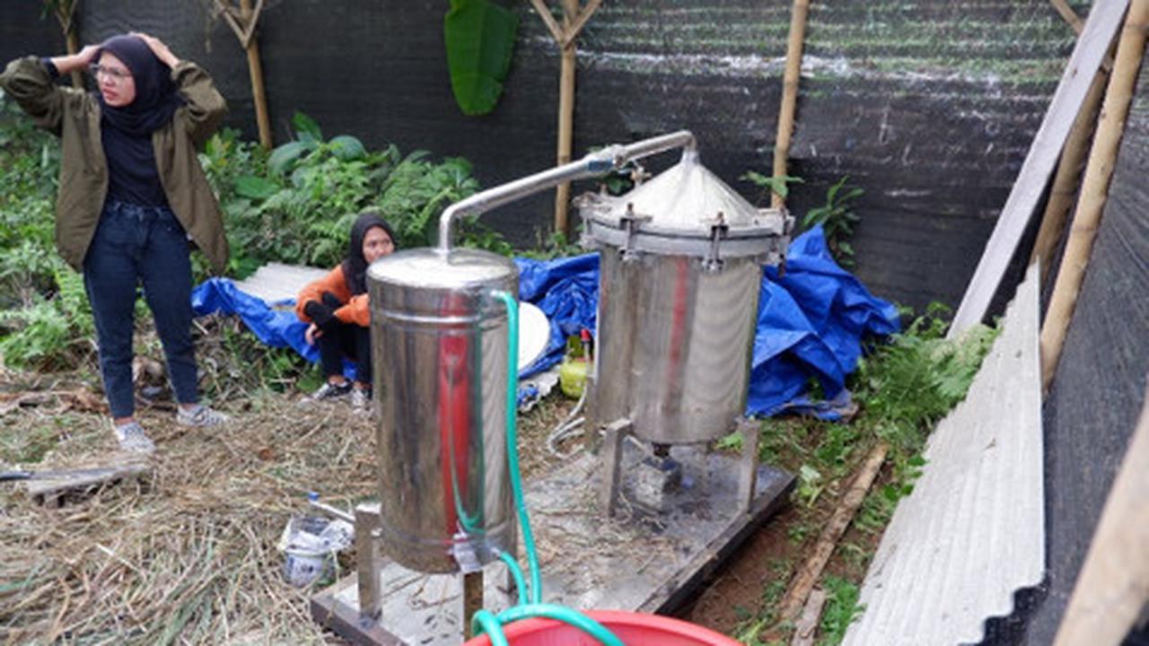 Proses penyulingan minyak atsiri dari bahan baku daun ekaliptus, sere wangi dan pucuk pinus di Kecamatan Pujon, Malang, Jawa Timur (Dok. Liputan6/Erik Erfinanto)