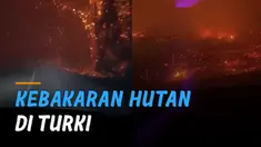 Kebakaran hutan terjadi di hutan dekat Manavgat, 75 kilometer sebelah timur kota resort Antalya.