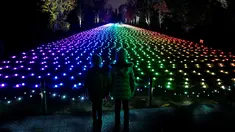 Pertunjukan cahaya digambarkan untuk mempromosikan peluncuran acara  "Christmas at Kew Gardens" di Kebun Botani Kew, London, 21 November 2018. Mendekati Natal, Kew Gardens menghiasi hamparan kebunnya dengan cahaya-cahaya yang indah. (Tolga AKMEN/AFP)