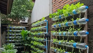 12 Cara Membuat Kebun Hidroponik Sederhana dari Botol Air Mineral Bekas