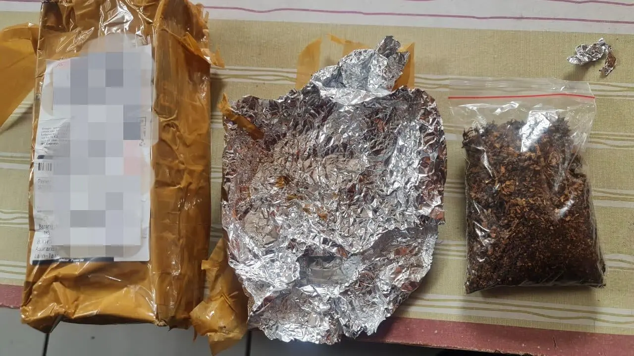 Lagi, Bea Cukai Bogor Amankan Selundupan Tembakau Gorila