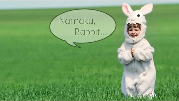 Courtesy ShutterStock.com