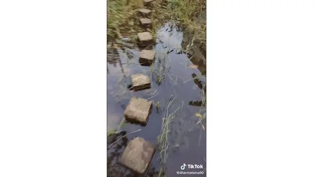 Viral Kurir Antar Paket Lewati Jalan Setapak, Bak Rintangan Benteng Takeshi