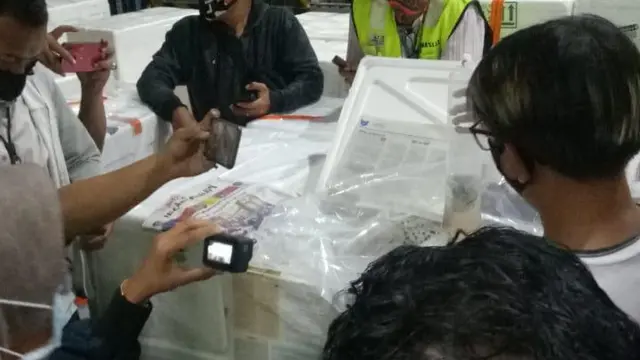 Upaya Penyelundupan Jutaan Benih Lobster ke Vietnam Digagalkan Petugas Bea dan Cukai
