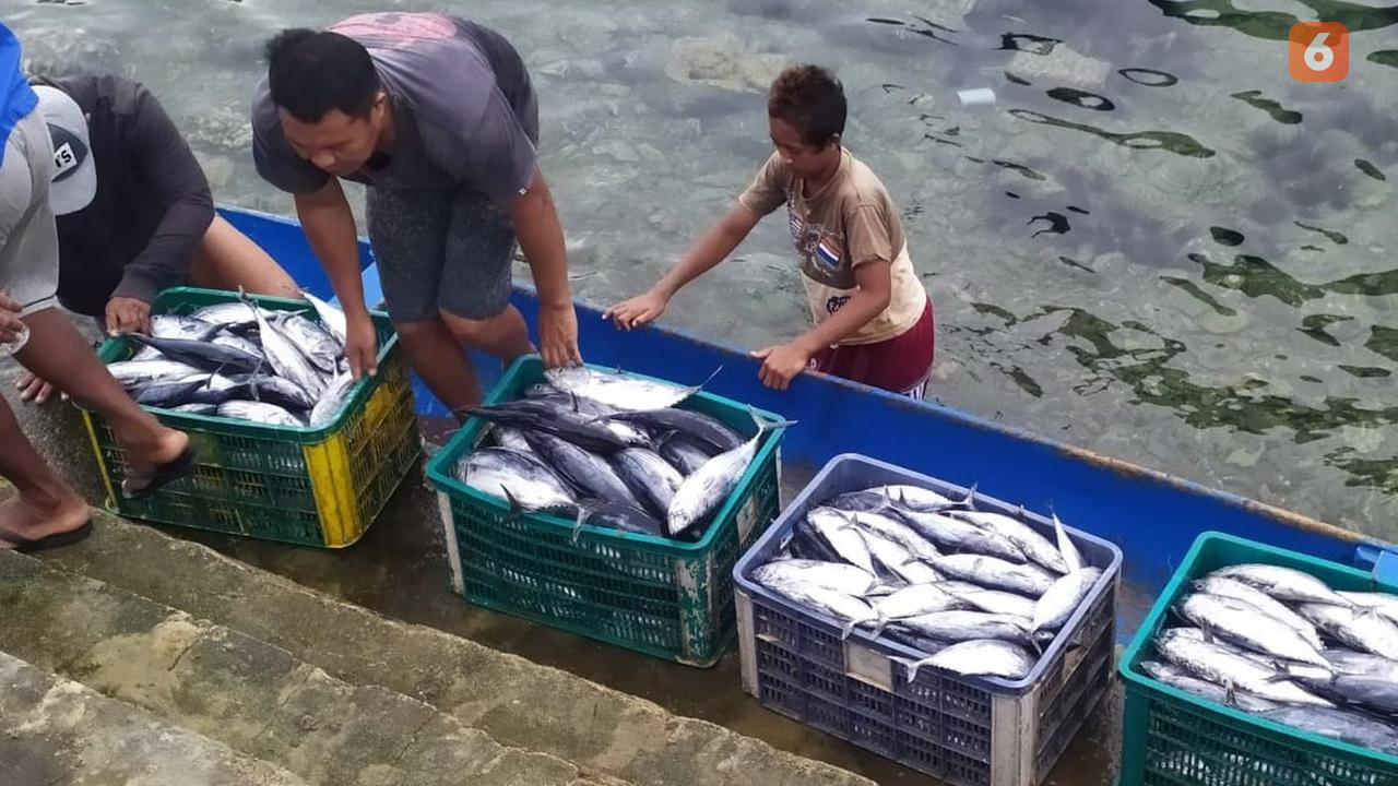 aktifitas warga di Pelabuhan Pendaratan Ikan (PPI) Donggala
