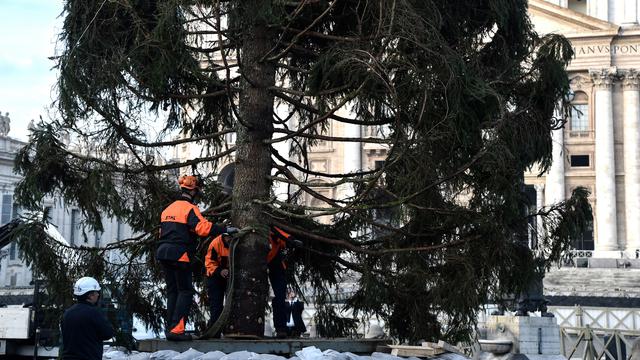 Pohon Natal di Vatikan