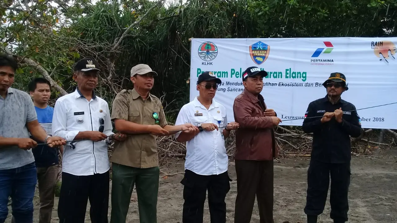 Manajer PKEK Zaini Rakhmat dan Wakil Bupati Garut Helmi Budiman melepaskan 2 ekor elang laut perut putih