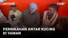 Pernikahan Kucing