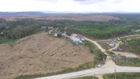 Kawasan calon Ibu Kota baru di Kabupaten Penajam Paser Utara merupakan lahan dengan status Hak Guna Usaha (HGU). Mayoritas dimiliki Hasyim Djoyohadikusumo, adik Prabowo Subianto.