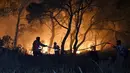Petugas pemadam kebakaran mencoba memadamkan kobaran api saat terjadi kebakaran di dekat Desa Schinos, dekat Korintus, Yunani, Rabu (19/5/2021). Kebakaran hutan besar di sebelah barat Athena merusak rumah-rumah dan mendorong evakuasi. (AP Photo/Valerie Gache)