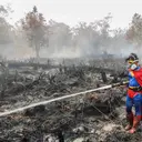Klarifikasi Pemerintah Soal Bantuan Kebakaran Hutan Malaysia dan Jepang