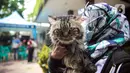 Warga membawa kucing untuk disuntik vaksin antirabies secara gratis di kawasan Tebet, Jakarta, Selasa (16/11/2021). Vaksinasi dilakukan untuk menghindari dan mengantisipasi penyebaran penyakit rabies kepada hewan peliharaan. (Liputan6.com/Faizal Fanani)