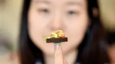 Seniman Nguyen Thi Ha An berpose dengan miniatur makanan kreasinya yang bernama "Banh Mi" di studionya, Hanoi, Vietnam, 18 Agustus 2020. Lulusan arsitektur yang kini berusia 28 tahun tersebut mulai membuat miniatur makanan dari tanah liat sejak setahun lalu. (Manan VATSYAYANA/AFP)
