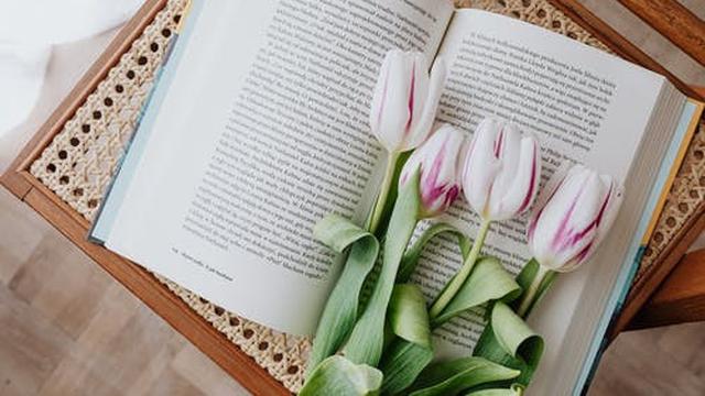 Ilustrasi membaca novel