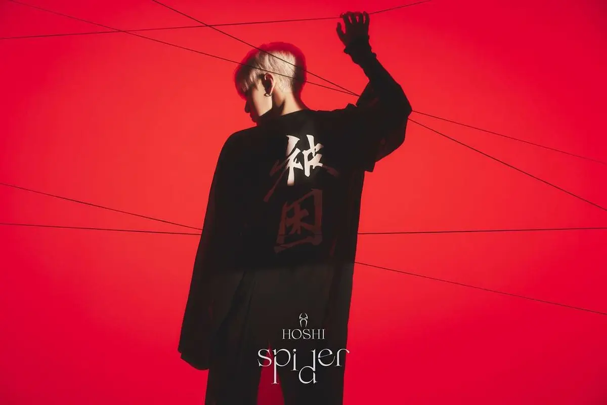 Hoshi Seventeen