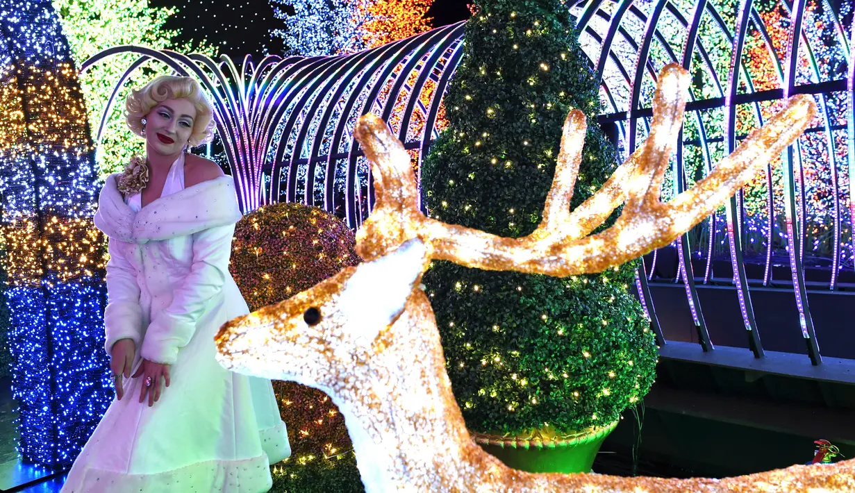 Pertunjukan cahaya ini akan dipamerkan mulai dari tanggal 1 Desember hingga 2 Januari, Singapura, Kamis (17/11).  Untuk membangun Universal Journey dibutuhkan waktu dua bulan untuk memasang 825.961 lampu. (AFP PHOTO/ Roslan Rahman)
