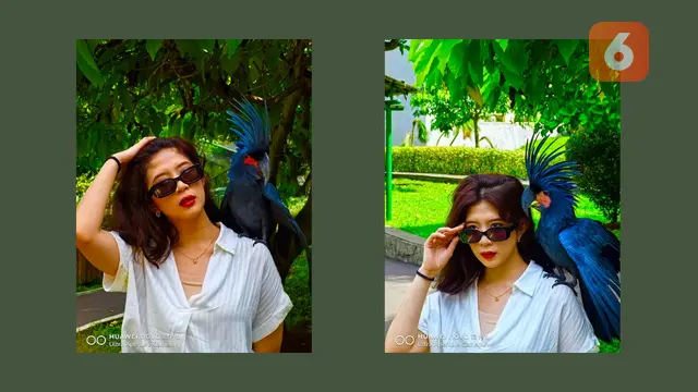 Foto Subjek Bersama dengan Burung Kaka Tua Raja, Dengan Kamera Huawei Nova 13 Pro. Liputan6.com/Reanthonio Oktovier Sinanu
