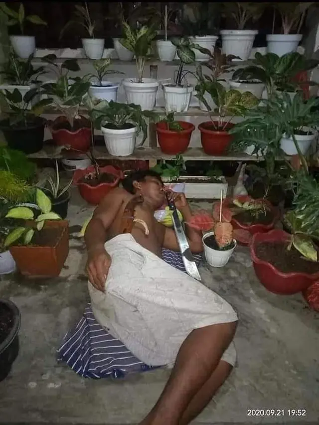 6 Penampakan Kamar dengan Konsep Nuansa Alam Ini Malah Bikin Melongo