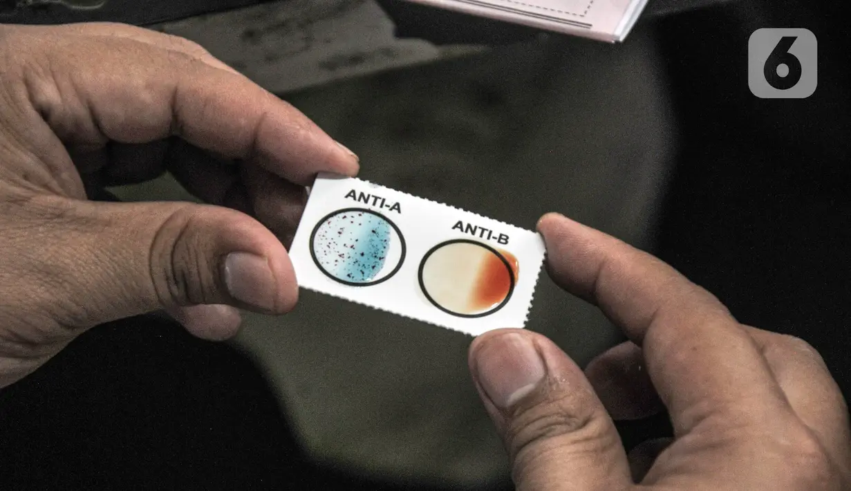 Petugas PMI DKI Jakarta memeriksa darah calon pendonor saat kegiatan donor darah keliling di Thamrin 10, Jakarta, Senin (14/3/2022). Ketua PMI DKI Jakarta Rustam Effendi mengungkapkan saat ini DKI Jakarta tengah mengalami defisit kebutuhan darah. (merdeka.com/Iqbal S. Nugroho)