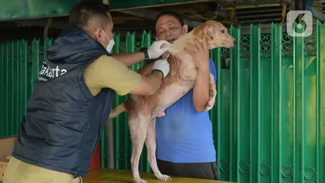 Vaksin Rabies Untuk Hewan Peliharaan di Kelurahan Bukit Duri