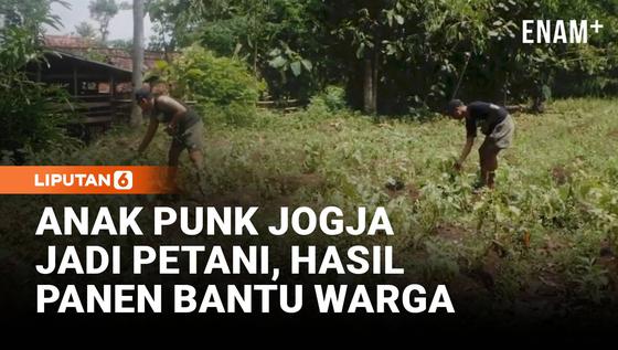 Kisah Inspiratif! Anak Punk Gunungkidul Jadi Petani, Hasil Panen Bantu Warga