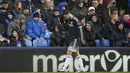  Pemain Chelsea, Eden Hazard  terlihat kesakitan sat keluar dari lapangan pada menit awal laga Liga Premier Inggris di Stadion Selhurst Park, Inggris,, Minggu (3/01/2016). (Reuters/John Sibley)