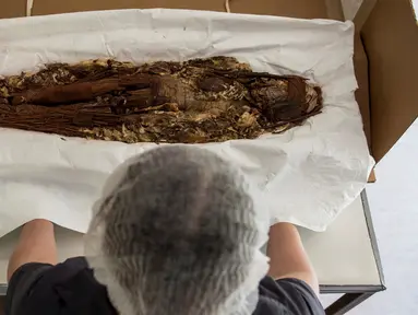 Ahli antropologi Chile, Veronica Silva memperlihatkan salah satu mumi tertua dari budaya kuno Chinchorro di National Museum of Natural History di Santiago, Chile (16/12). (AFP PHOTO/Martin Bernetti)