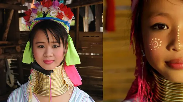 (c) tenorama.com, drubetsky.com