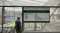 Pertamina Foundation Ajak Masyarakat Lestarikan Alam Lewat Program Hutan Lestari