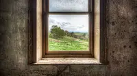 Sebuah jendela pun bisa menceritakan berbagai kisah, begitu menurut fotografer ini.