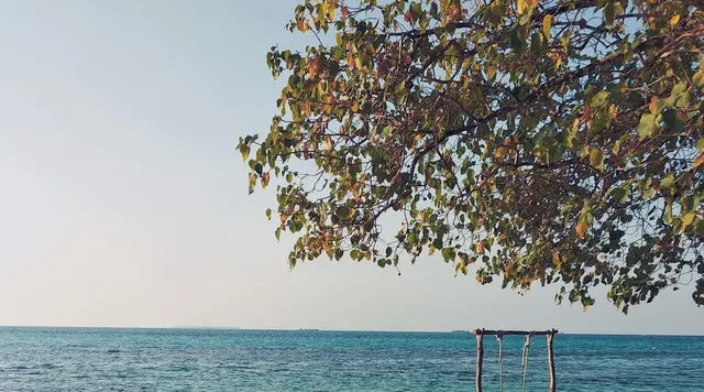 Heboh Pulau Menjangan Kecil Dijual Rp 500 Miliar, Ini Faktanya