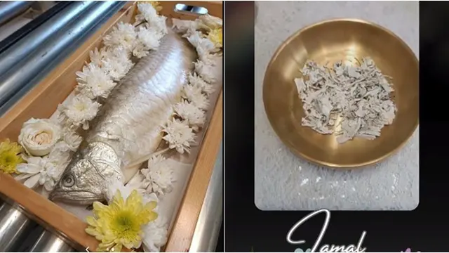 Momen Ikan Arwana Dikremasi Usai Mati Ini Viral, Jadi Sorotan Netizen