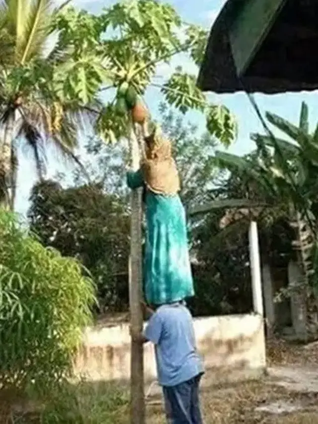6 Aksi Gokil Cewek Saat Naik Pohon, Banyak Tingkah