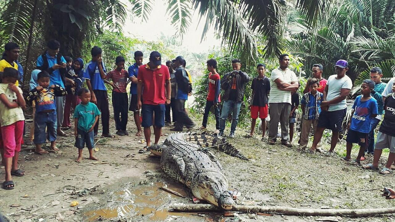Konflik manusia dengan buaya