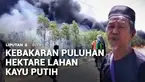 Kebakaran melalap puluhan hektare lahan perkebunan kayu putih di Maluku. Kebakaran yang terjadi di pinggir jalan membuat pengendara yang melintas harus berhati-hati.