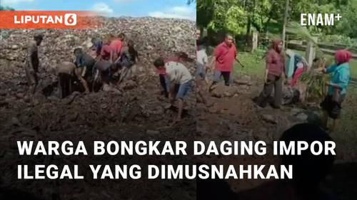 VIDEO: Warga TPA Bengkalis, Riau Bongkar Daging Kerbau Impor Ilegal yang Dimusnahkan