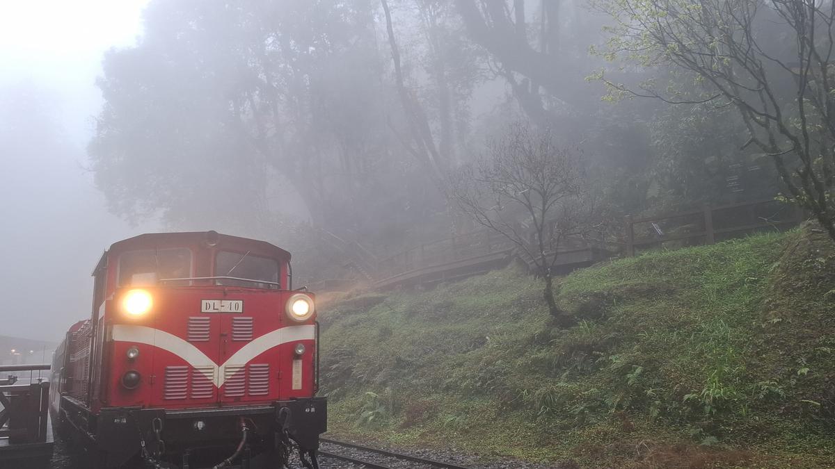 Laporan Liputan6.com dari Taiwan: Menjajal Hutan dan Jalur Kereta Alishan