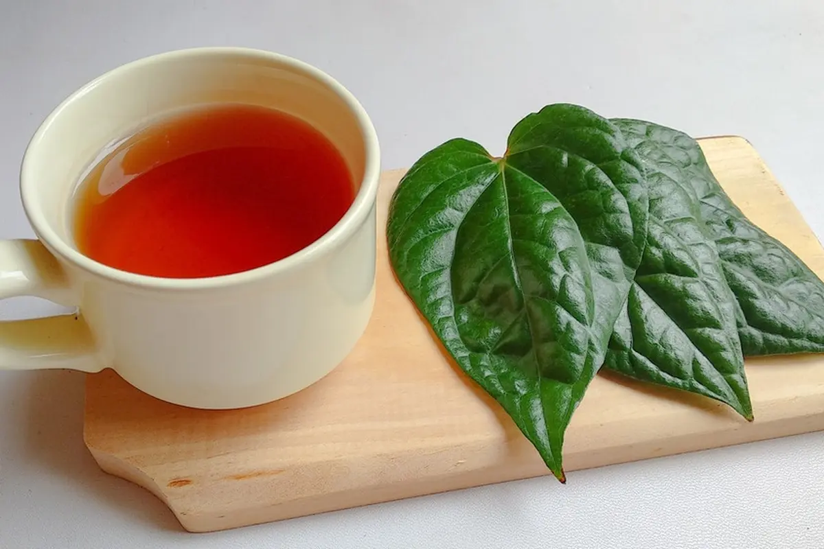 Bongkar 4 Khasiat Baik dari Daun Sirih untuk Kesehatan Tubuh, Apa Saja Ya?