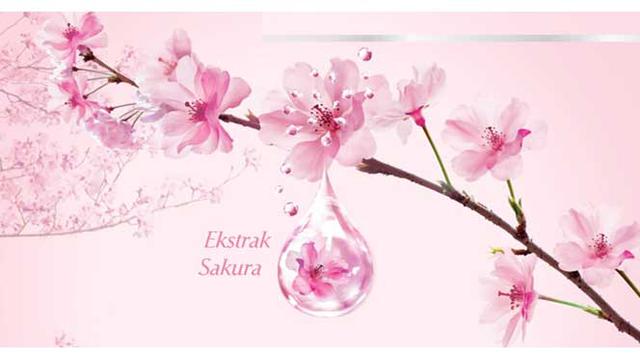 Menemukan Rahasia Keajaiban Sakura Fashion Beauty Liputan6 Com