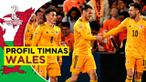 Berita Video Profil Timnas Wales di Piala Dunia 2022.